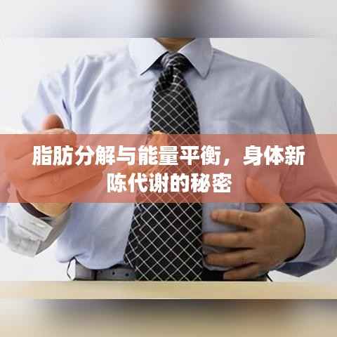 quncizhouzhou 第3页