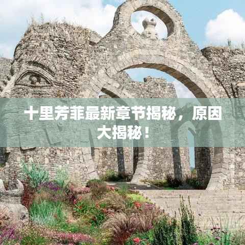 十里芳菲最新章节揭秘,原因大揭秘!