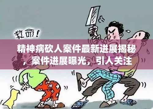 精神病砍人案件最新进展揭秘,案件进展曝光,引人关注
