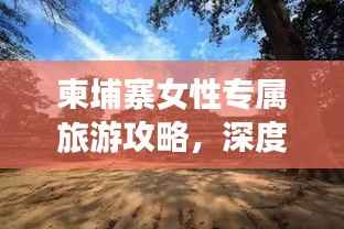 七上八下 第3页