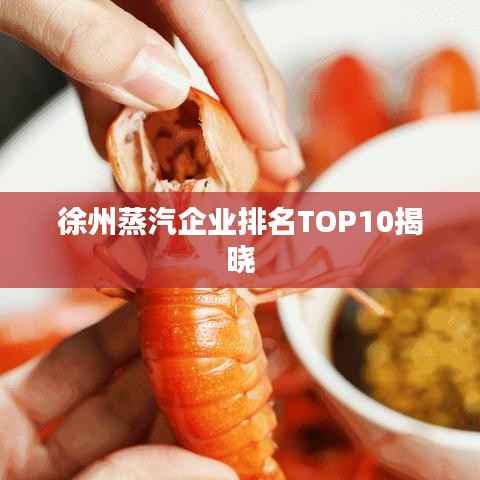 徐州蒸汽企业排名TOP10揭晓