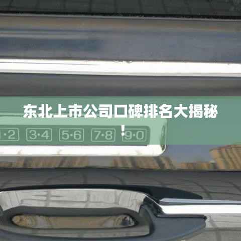 东北上市公司口碑排名大揭秘!