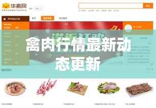禽肉行情最新动态更新