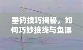垂钓技巧揭秘,如何巧妙接线与鱼漂,展现你的智慧与技艺
