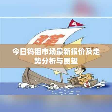 今日钨钼市场最新报价及走势分析与展望