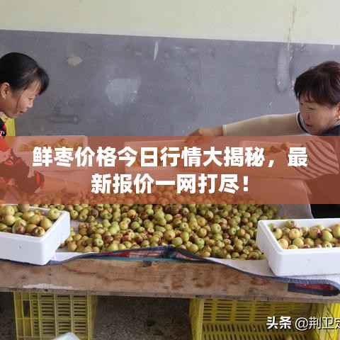 资料下载 第126页