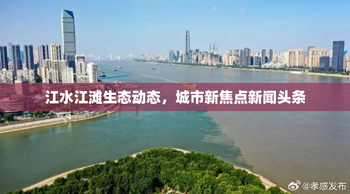 考级报名 第122页