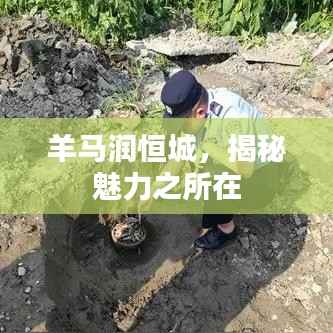 羊马润恒城,揭秘魅力之所在