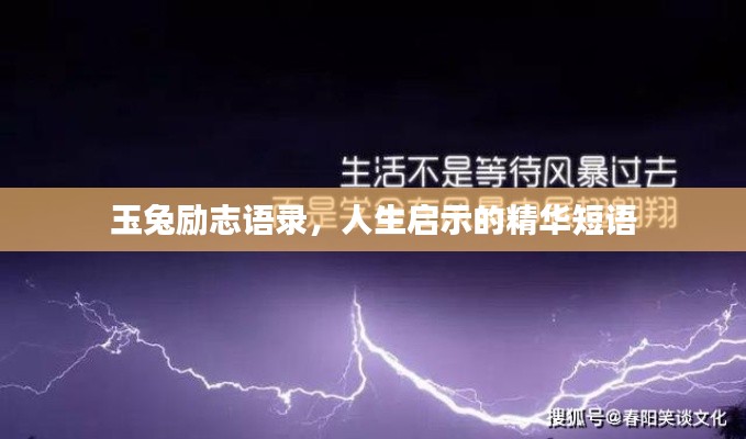 玉兔励志语录,人生启示的精华短语