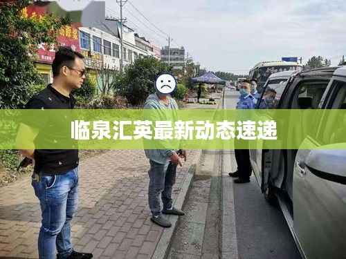 临泉汇英最新动态速递