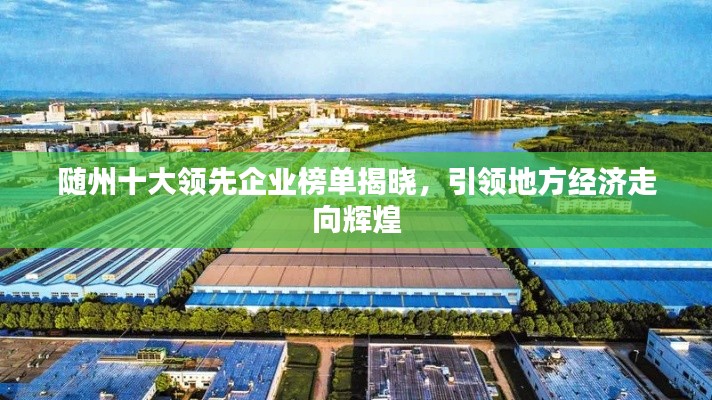 随州十大领先企业榜单揭晓,引领地方经济走向辉煌