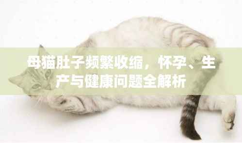 贵卖贱买 第2页