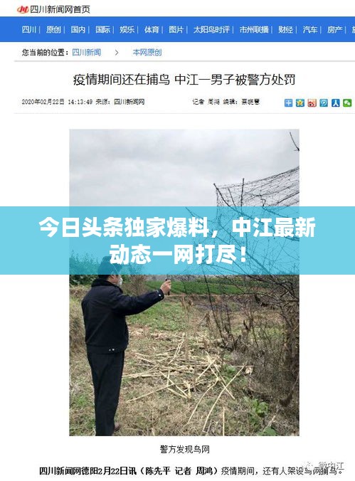 今日头条独家爆料，中江最新动态一网打尽！