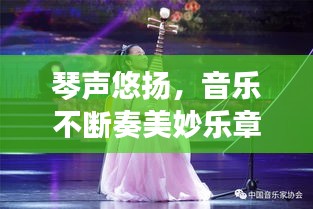 琴声悠扬,音乐不断奏美妙乐章