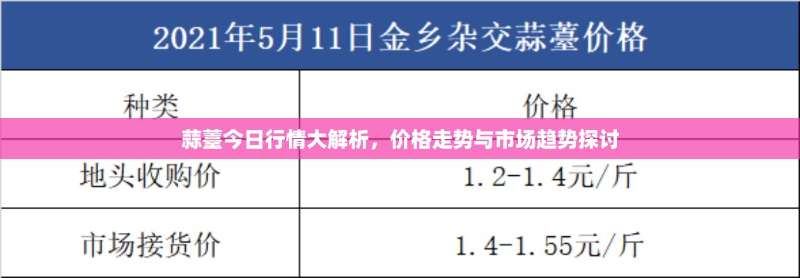 蒜薹今日行情大解析，价格走势与市场趋势探讨