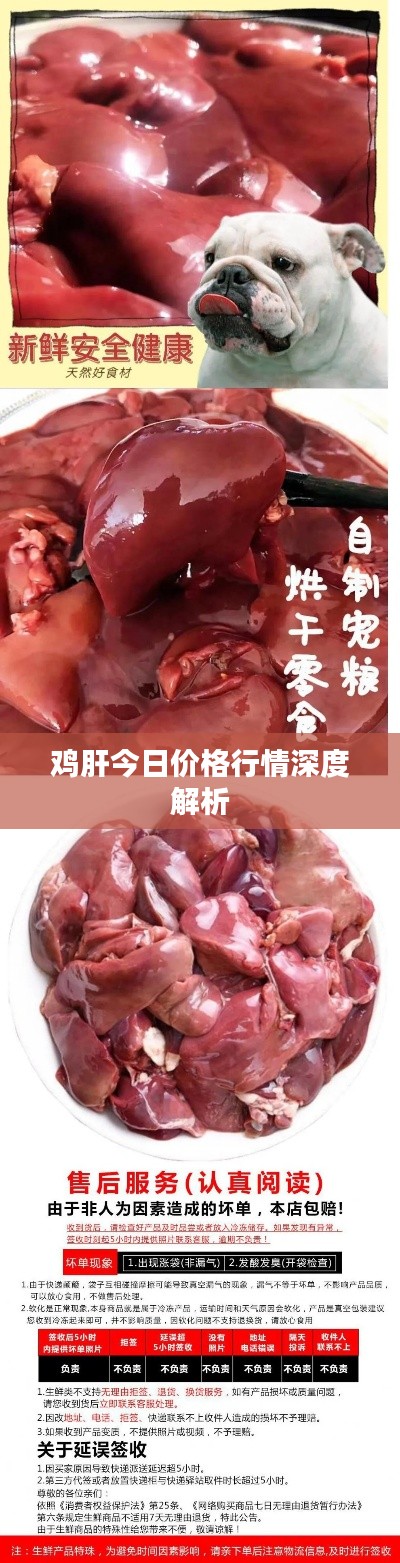 鸡肝今日价格行情深度解析