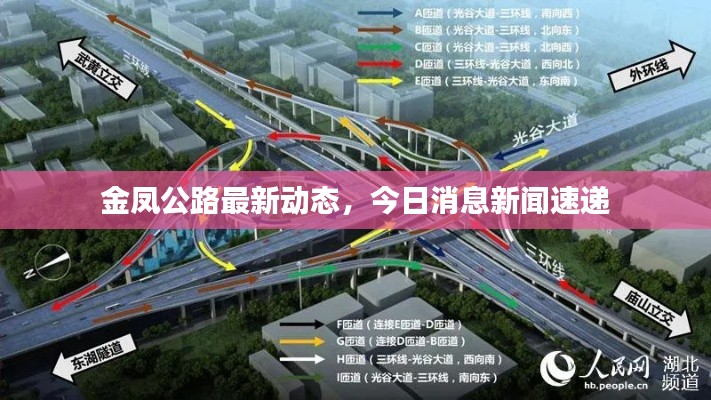 金凤公路最新动态，今日消息新闻速递