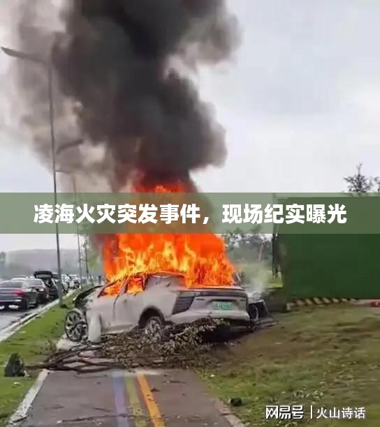 凌海火灾突发事件，现场纪实曝光