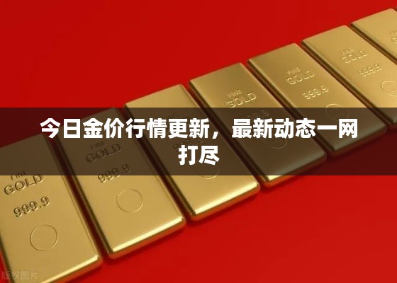 今日金价行情更新,最新动态一网打尽