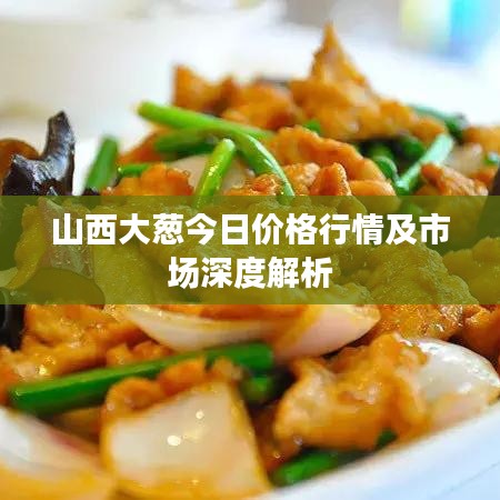 资料下载 第93页