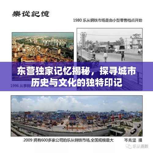 东营独家记忆揭秘，探寻城市历史与文化的独特印记