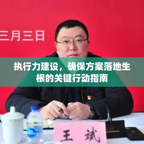 执行力建设，确保方案落地生根的关键行动指南