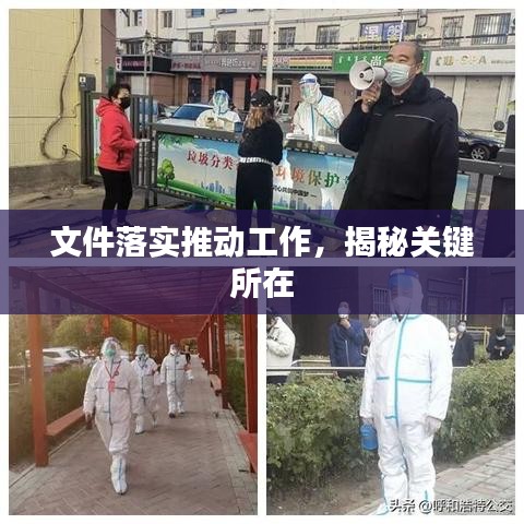 文件落实推动工作，揭秘关键所在