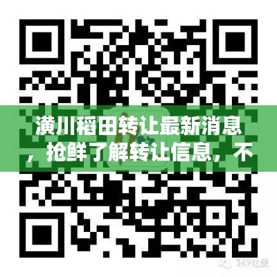 潢川稻田转让最新消息,抢鲜了解转让信息,不容错过!
