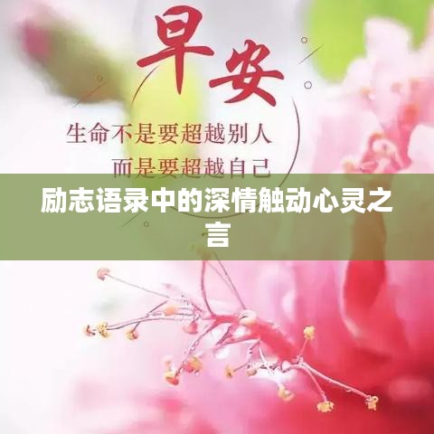 励志语录中的深情触动心灵之言