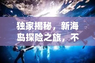 独家揭秘，新海岛探险之旅，不容错过的神秘体验！