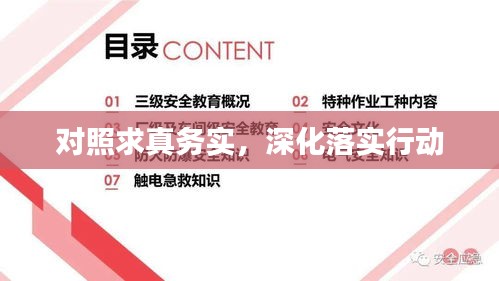 对照求真务实,深化落实行动