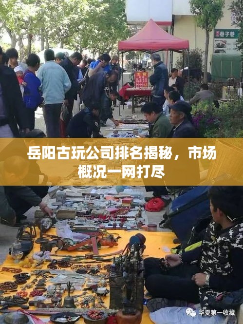 岳阳古玩公司排名揭秘,市场概况一网打尽