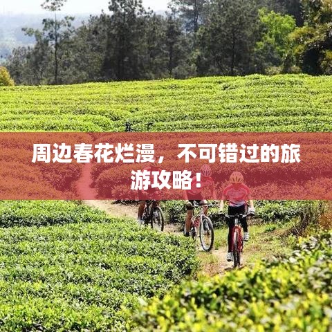 周边春花烂漫,不可错过的旅游攻略!