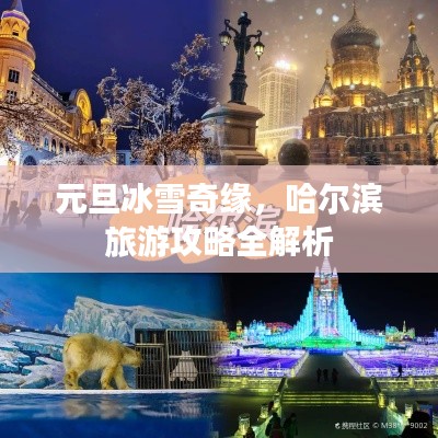 元旦冰雪奇缘，哈尔滨旅游攻略全解析