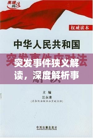 突发事件狭义解读，深度解析事件背后的真相