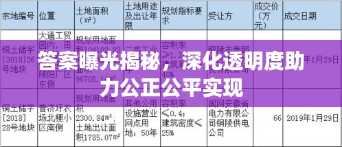 答案曝光揭秘，深化透明度助力公正公平实现