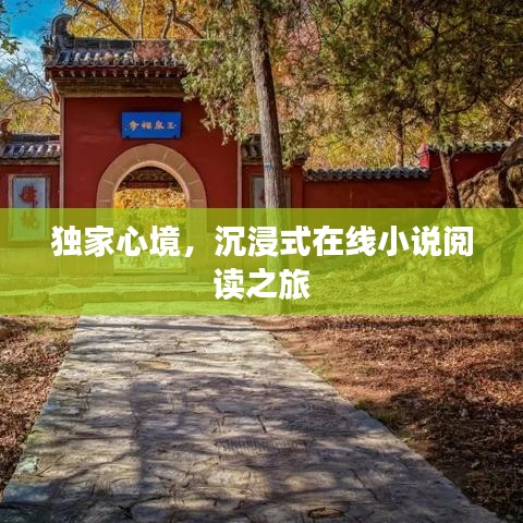 独家心境,沉浸式在线小说阅读之旅