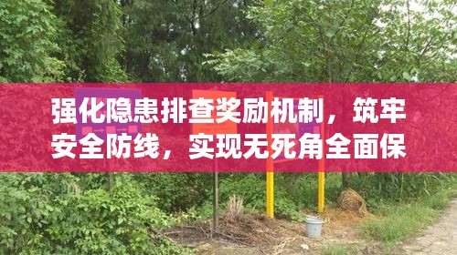 强化隐患排查奖励机制,筑牢安全防线,实现无死角全面保障